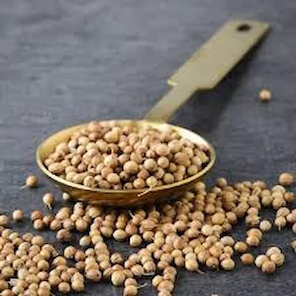 قیمت تخم گشنیز عطاری + خرید باور نکردنی